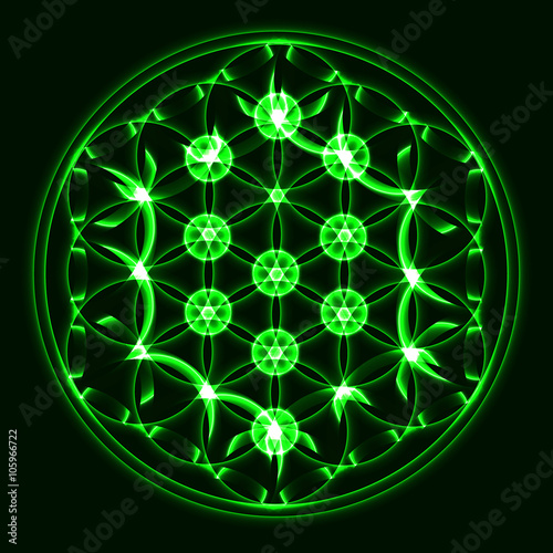 Vector Tree of Life, sacred geometry symbol
