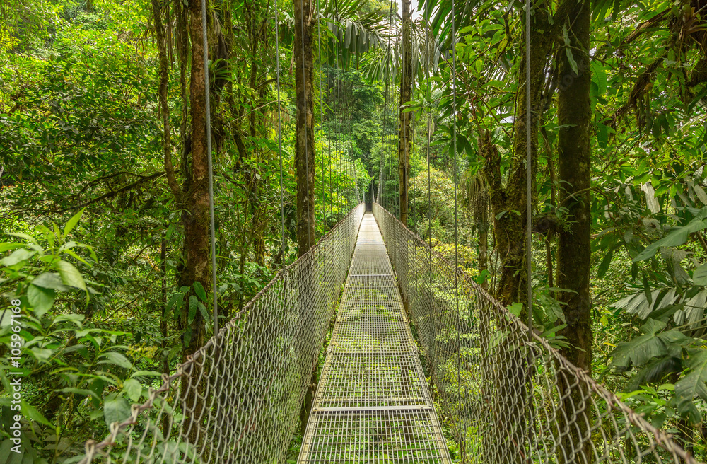 Naklejka premium Wiszący most w Kostaryce