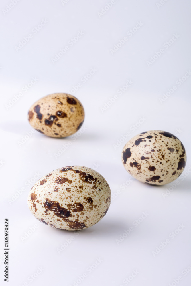 quail eggs on a white background. Food image with space for text quail eggs on a white background. Food image with space for text
