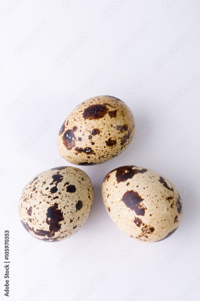 quail eggs on a white background. Food image with space for text quail eggs on a white background. Food image with space for text