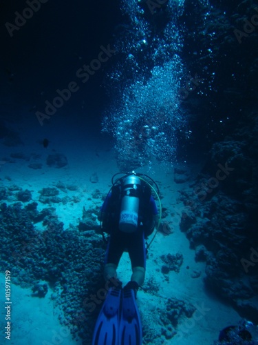 Fototapeta Naklejka Na Ścianę i Meble -  Divers in Canyon with sand bottom.Underwater world of Red sea, Dahab, Egypt, Sinai.