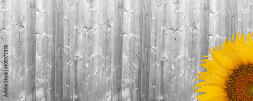 white wood texture backgrou...