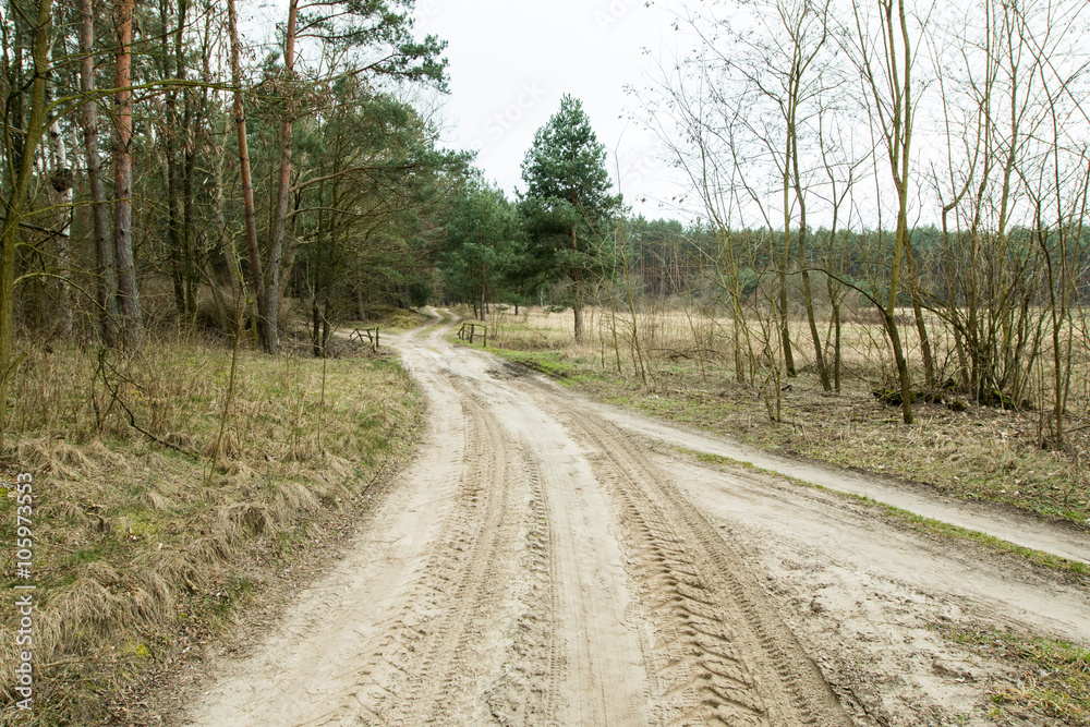 The road through the forest The road through the forest