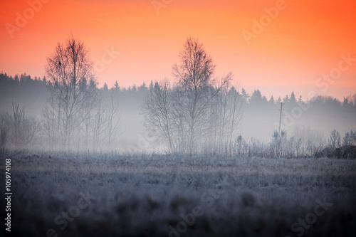 winter morning scene