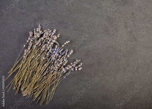 Lavender flowers in close up on black wood background with copy space