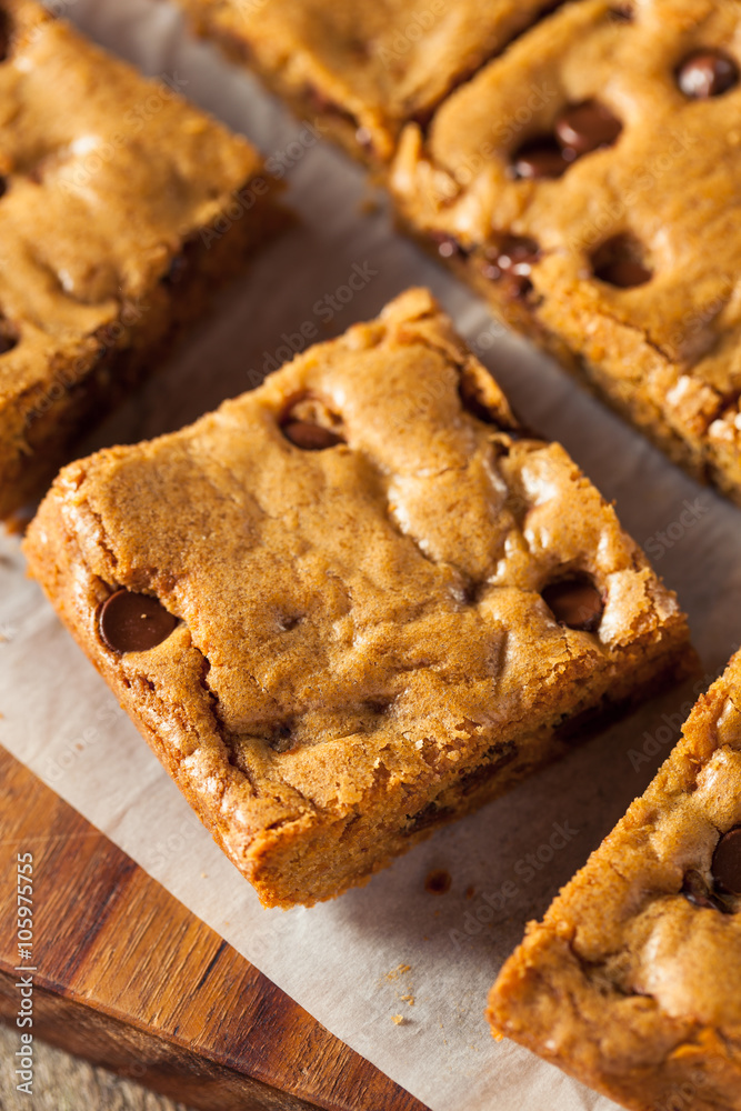 Homemade Chocolate Chip Blondies Homemade Chocolate Chip Blondies