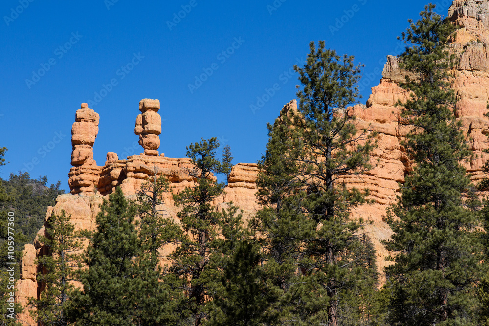 Obraz premium Stone hoodoos in Red Canyon, Utah