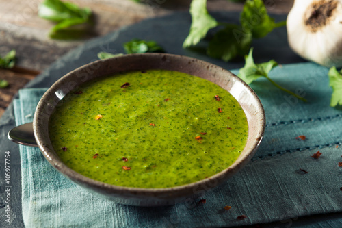 Raw Organic Green Chimichurri Sauce photo