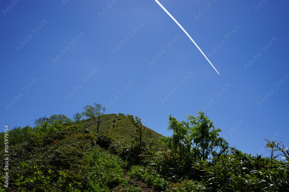 登山道と飛行機雲
