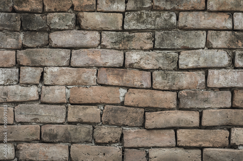 Fototapeta premium Wall texture