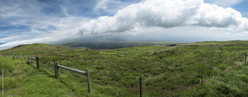 Countryside with fence - taken on Big Island of Hawaii on kohala mountain road
