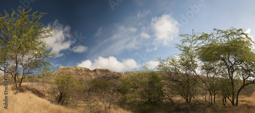 Diamond Head, Hawaii, Also resembles an African landscape © IcemanJ