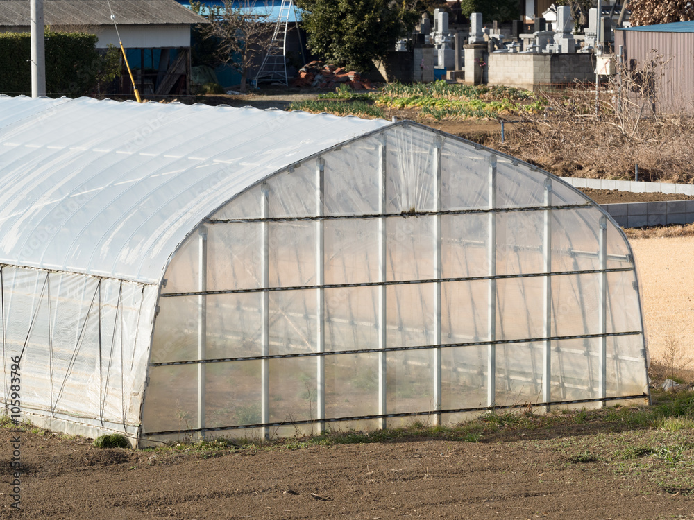 ビニールハウス　