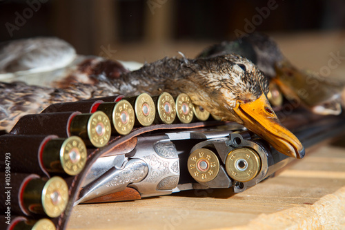 Hunting shotgun shells and a duck