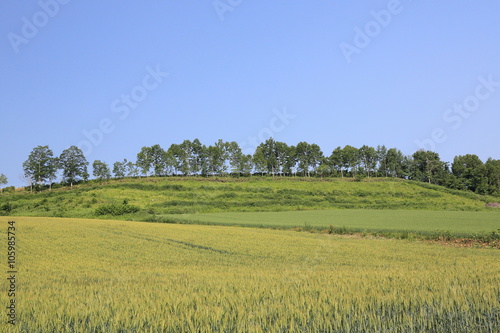 japanese view in hokkaido