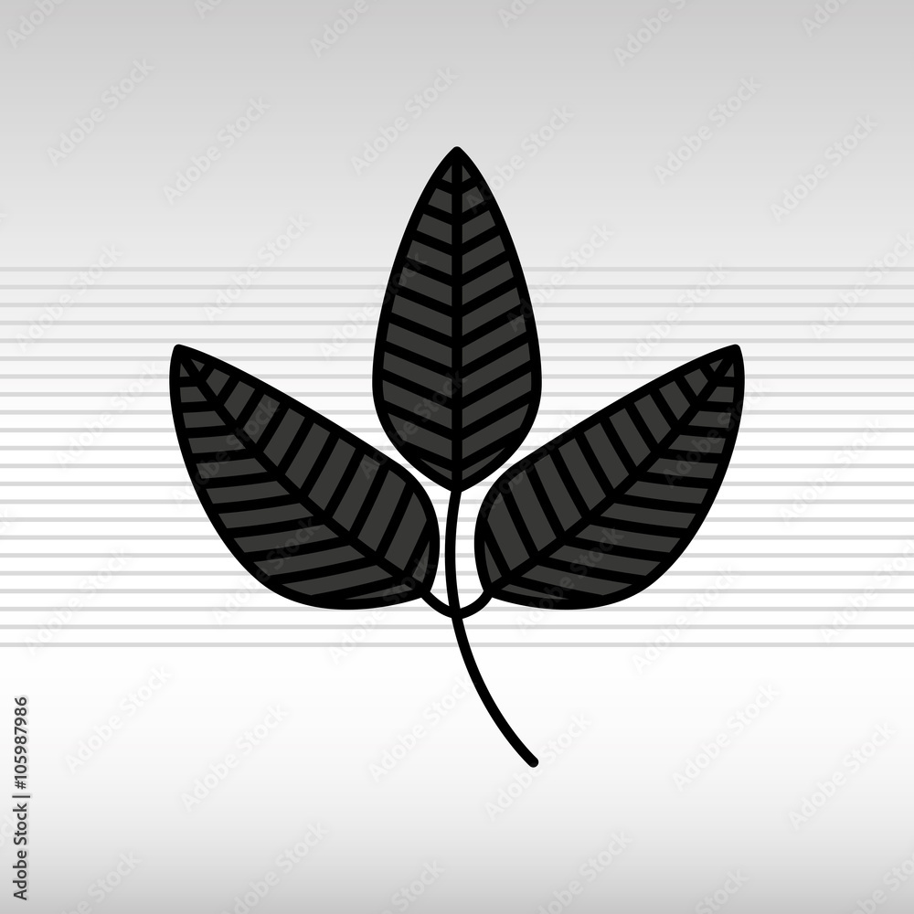 Obraz premium leaf icon design 
