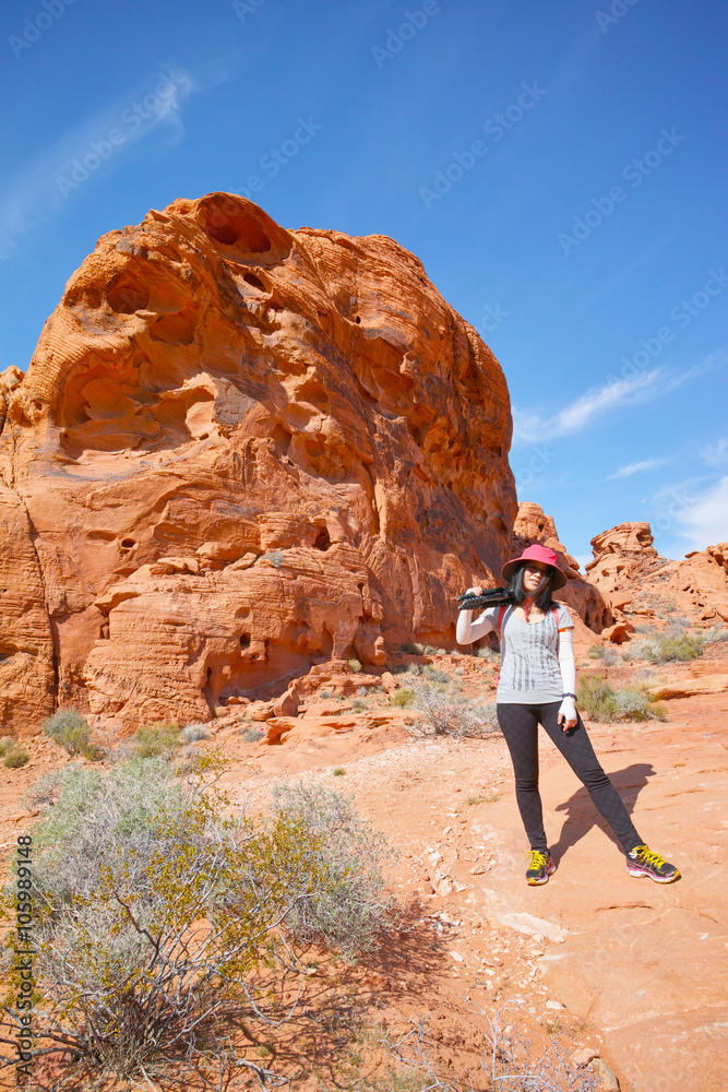 traveler in the field