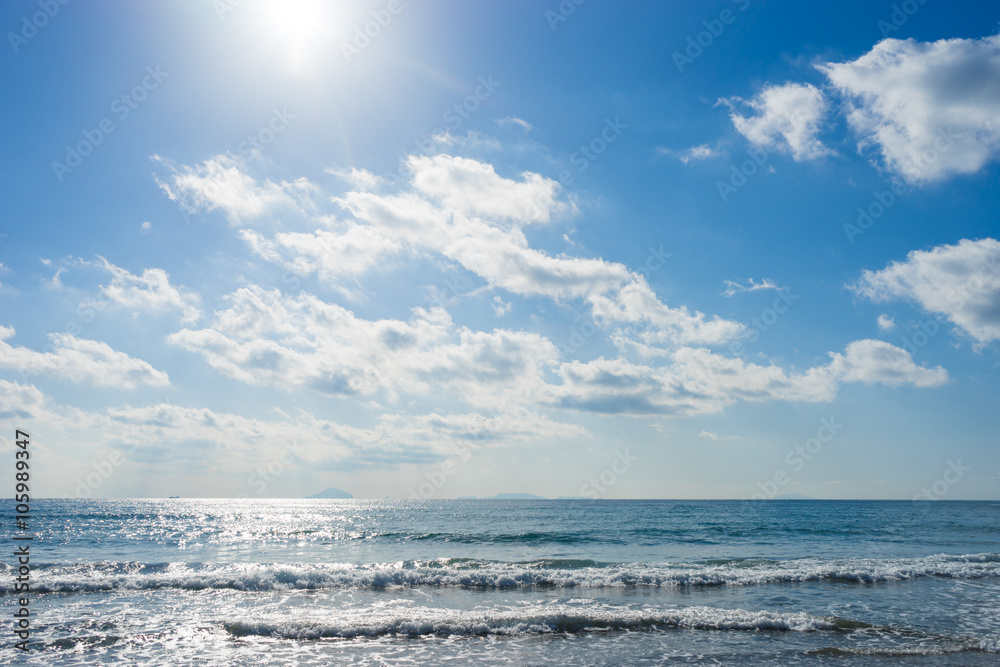 Obraz premium Sea of Imaihama-Kaigan shore