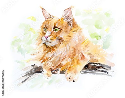 Red cat on the tree. Cats background  Watercolor hand drawn illustration