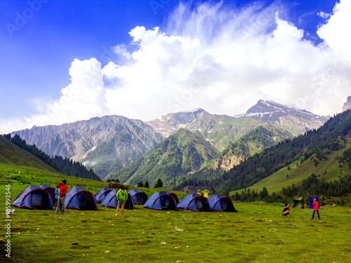 camp in sonamarg trek route himalaya in Kashmir photo