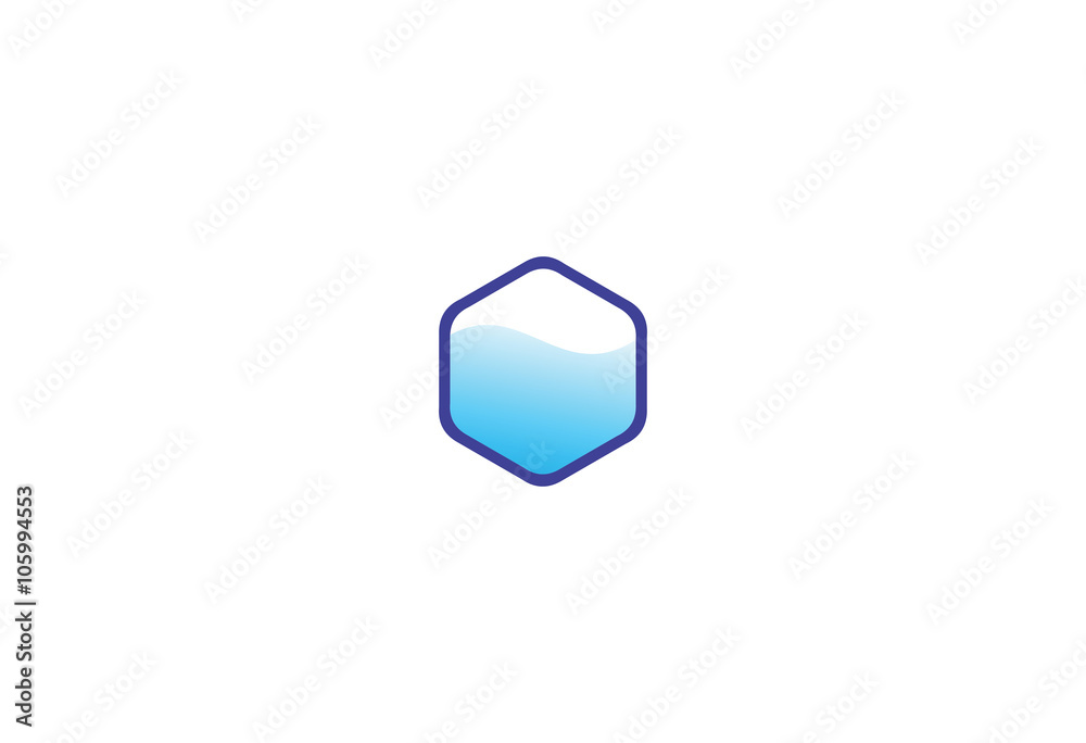 Vector shield hexagon badge logo