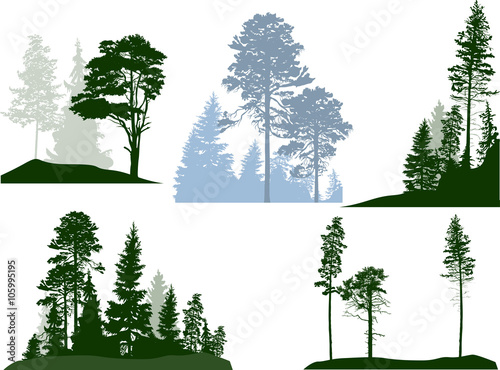 green and blue trees compositions set on white