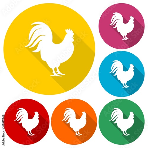 Rooster silhouette icons set with long shadow