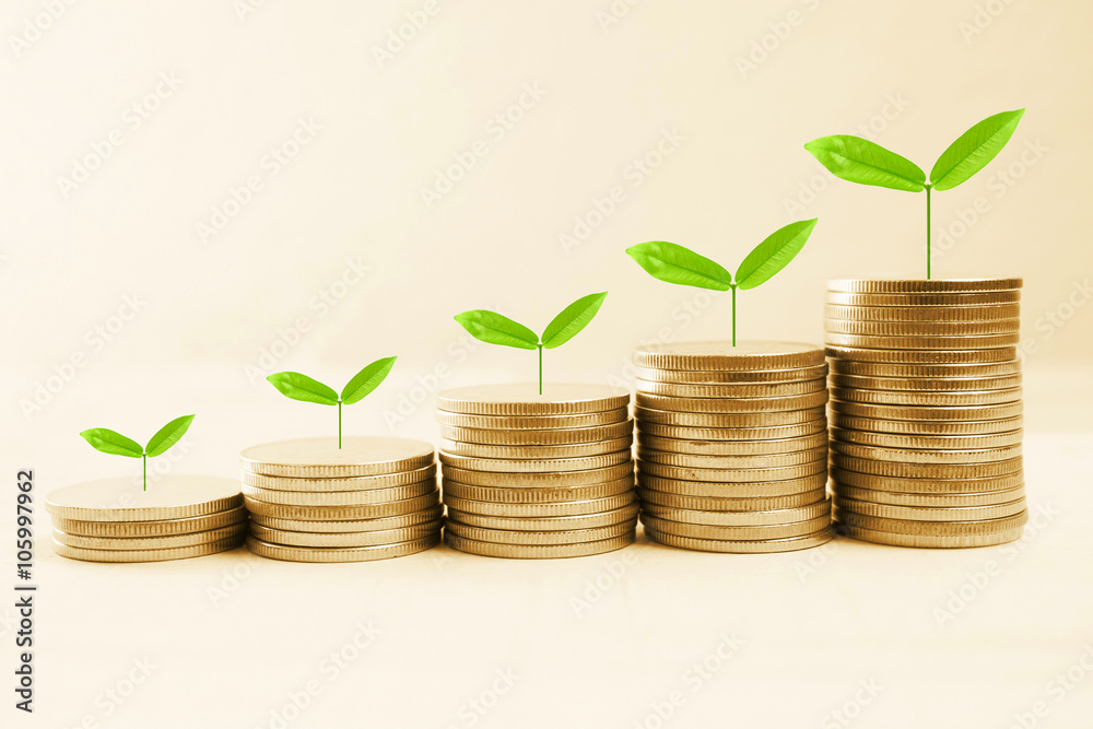 Growing plant on row of coin money for finance and banking concept

