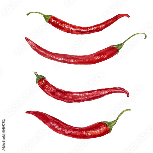 vector watercolor red chili peppers