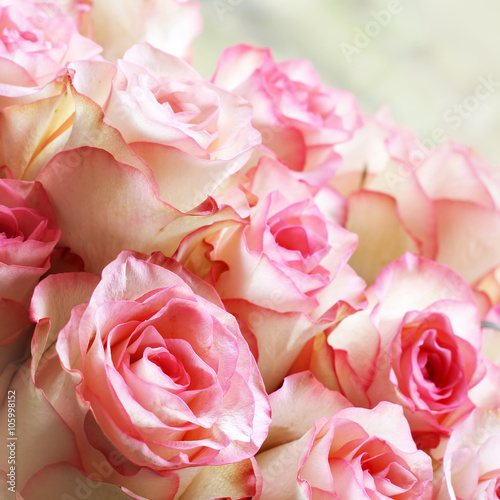 beautiful pink roses bouquet