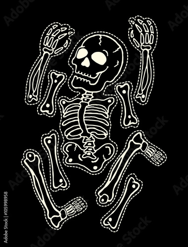 Skeleton Parts
