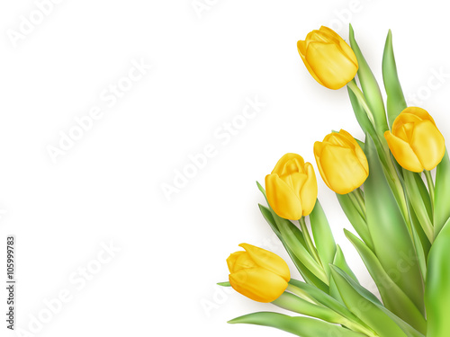 Yellow Tulips Flowers. EPS 10