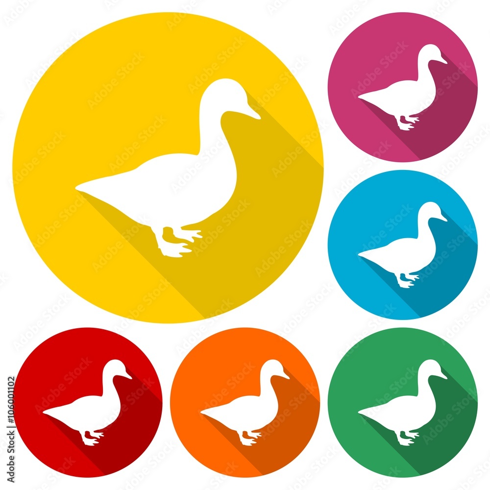 Duck silhouette icons set with long shadow Duck silhouette icons set with long shadow