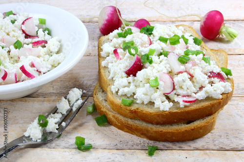 Bread with cottage cheese , radish and chives