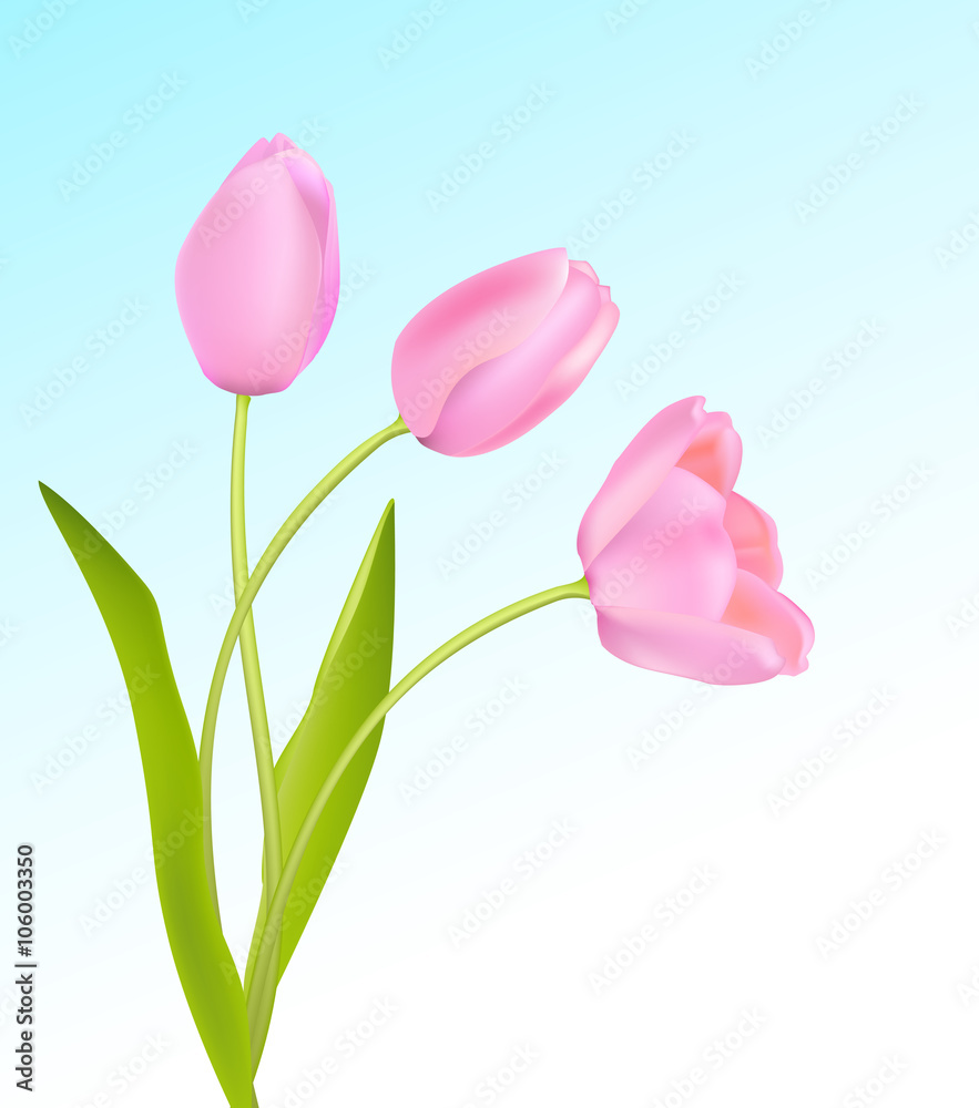 Fototapeta premium Soft pink tulips on light blue sky spring background. Vector