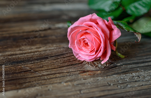 Single pink rose on a rustic table
