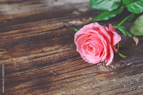 Single pink rose on a rustic table
