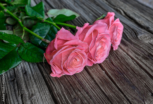 Close up on roses over wooden table