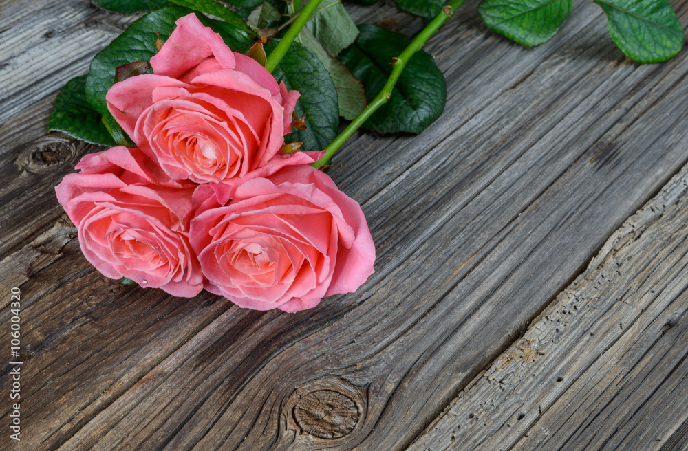 Three fresh pink roses with a Valentines gift Three fresh pink roses with a Valentines gift