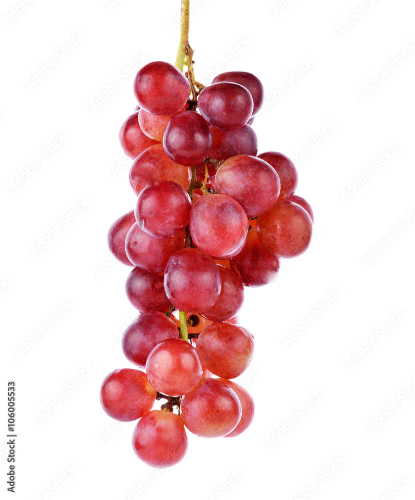 Fototapeta premium grapes