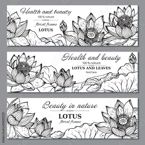 Fototapeta Naklejka Na Ścianę i Meble -  Set of three horizontal banners with beautiful lotus flowers and