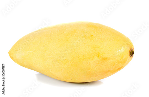mangoes  on  the  white  ground
