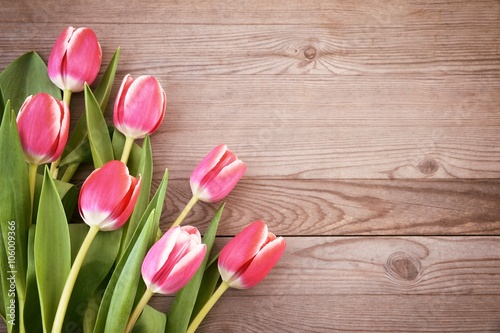 Fototapeta Naklejka Na Ścianę i Meble -  Tulip.. Red tulips on wooden background.