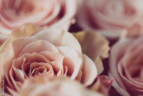 Wedding bouquet of flowers, close up floral background