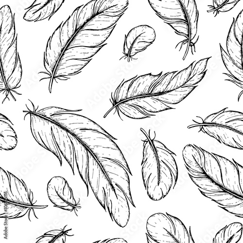 Vector seamless pattern of hand drawn feather. Ink feather vinta