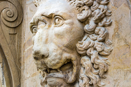 head of roaring lion