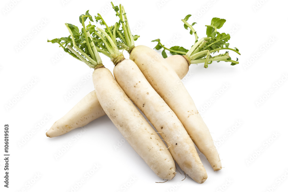 Fresh organic daikon radishes isolated on white background Fresh organic daikon radishes isolated on white background