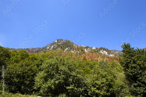 mountain district , Montenegro