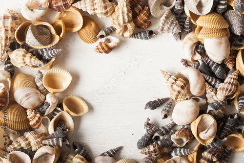 sea shells and frames 