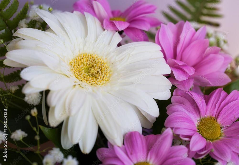 A big white daisy flower with four chrysanthemums
A big white daisy flower with four chrysanthemums